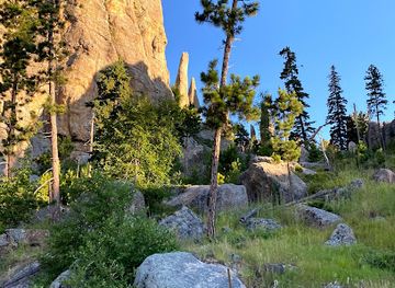 south-dakota/black-hills-national-forest/landmark/needles-highway