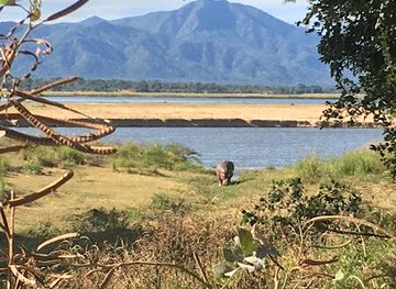 zimbabwe/hwange/landmark/mana-pools-national-park