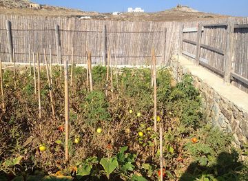 greece/mykonos/landmark/mykonian-spiti-farm-house-travel-activities-events-mykonos-greece