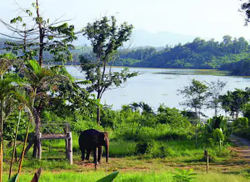 Elephant Conservation Center