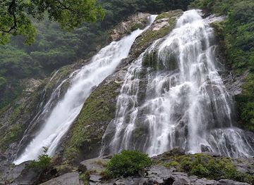 japan/yakushima/landmark/ohko-waterfall