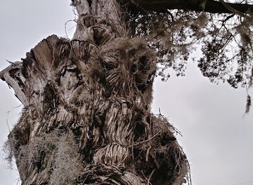 louisiana/acadiana/landmark/saint-martinville-historic-district