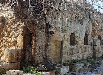 cyprus/paphos-forest/landmark/agia-solomoni-catacomb