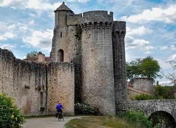 france/poitou-charentes/landmark/ancien-chateau-du-parthenay
