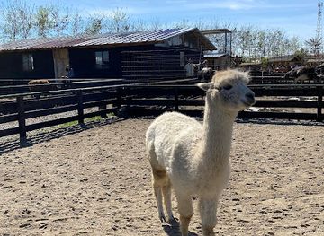 romania/satu-mare/landmark/blaga-s-farm