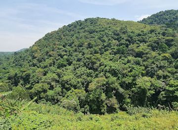 uganda/queen-elizabeth-national-park/landmark/maramagambo-forest