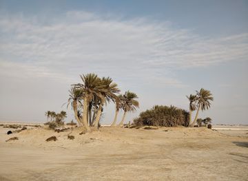 qatar/zekreet-beach/landmark/umm-bab-beach