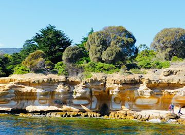 australia/tasmania/landmark/painted-cliffs