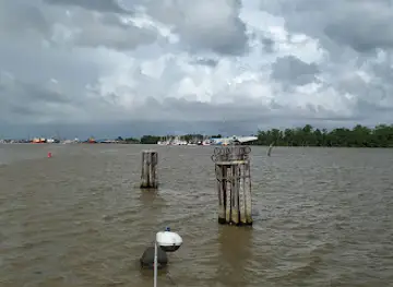 Demerara Harbour Bridge