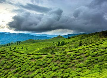 india/shillong/landmark/meghalaya-tourism