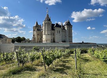 france/loire-valley/landmark/chateau-de-saumur