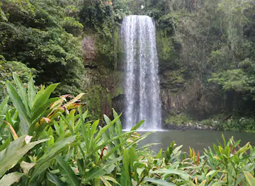Waterfall Wanderers