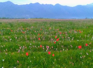 india/kashmir-great-lakes/landmark/kashmir-journey