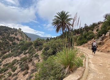 morocco/tafilalt/landmark/amazir-cheval