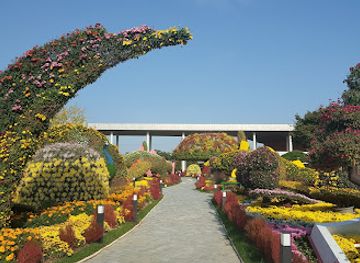 south-korea/suncheon/landmark/dongcheon-gaetbeol-gongyeonjang