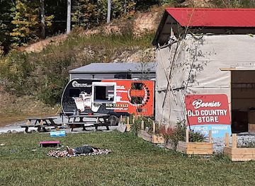 north-carolina/boone/landmark/bobabing