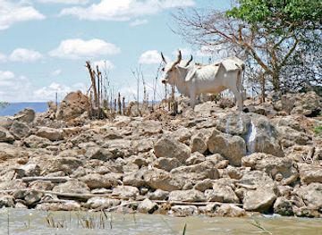 kenya/lake-baringo/landmark/ol-kokwe-island