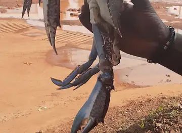 Praça dos Martires
