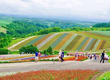 japan/hokkaido/landmark/travel-hokkaido