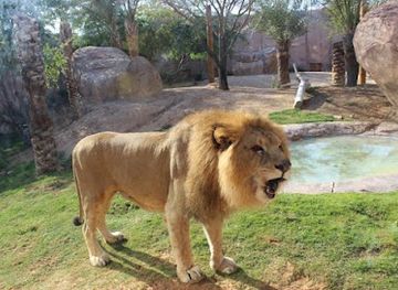 united-arab-emirates/al-batinah-coast/landmark/al-ain-zoo