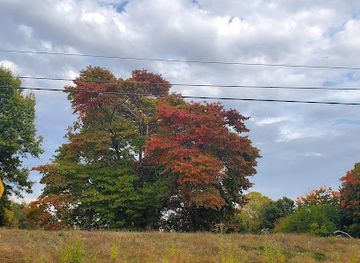 indiana/southern-indiana/landmark/historic-newburgh-inc