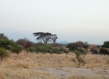 tanzania/ruaha-region/landmark/great-ruaha-river-viewpoint