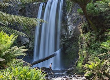 australia/western-victoria/landmark/hopetoun-falls