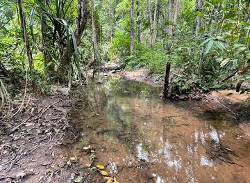 thailand/phuket-province/landmark/khao-phala