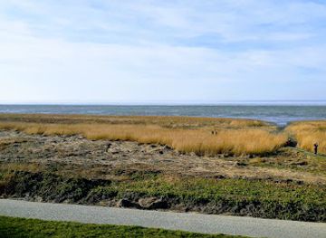 netherlands/wadden-islands/landmark/kwelder-westhoek