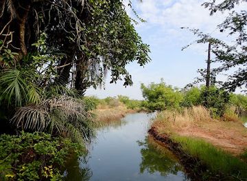 the-gambia/foni-kansala/landmark/farasutu-forest