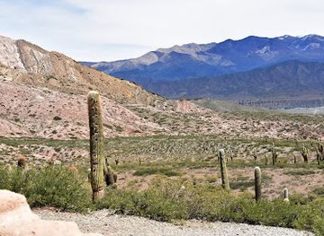 argentina/salta-province/landmark/parque-nacional-los-cardones
