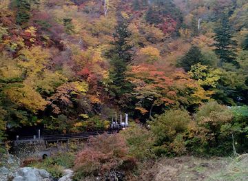 japan/hitachi/landmark/hananuki-gorge