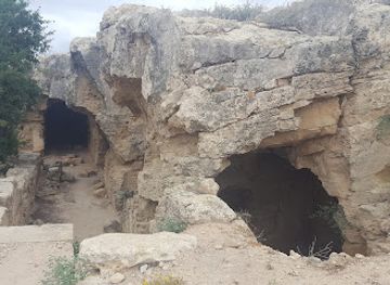 cyprus/avakas-gorge/landmark/house-of-dionysus