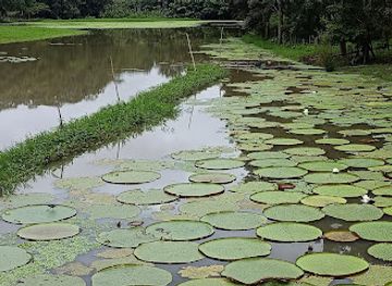 colombia/amazonas-department/landmark/amacayacu-natural-national-park