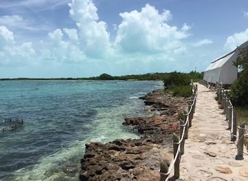 turks-and-caicos-islands/middle-caicos/landmark/caicos-conch-farm