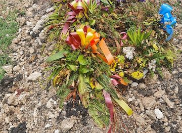 barbados/silver-sands/landmark/christ-church-parish-church-cemetery