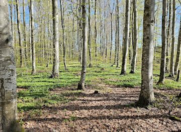 norway/vestfold/landmark/fokserod-nature-preserve