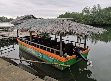 philippines/bohol/landmark/abatan-river-community-life-tour