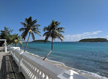 puerto-rico/vieques-island/landmark/abe-s-snorkeling-biobay-tours