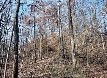 indiana/morgan-monroe-state-forest/landmark/morgan-monroe-state-forest