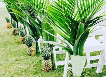 nigeria/kano/landmark/el-farhan-event-centre