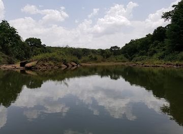 Chinko Nature Reserve