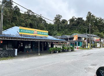 malaysia/cameron-highlands/landmark/ayahman-strawberi-cameron-highlands