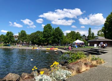 washington/kirkland/landmark/marina-park-public-beach