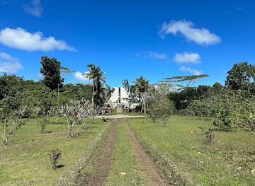 palau/babeldaob/landmark/japanese-monument