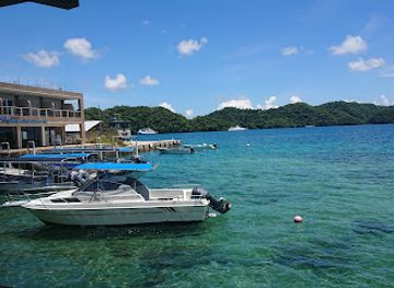 palau/koror-town/landmark/palm-bay-bistro