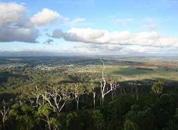 australia/atherton-tablelands/landmark/wongabel-state-forest