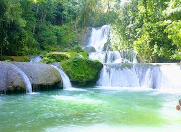 jamaica/ocho-rios/landmark/know-jamaica-tours