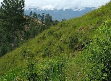 honduras/yoro-region/landmark/la-cruz-del-perdon