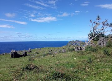 tonga/eua/landmark/rock-garden-coral-formations